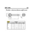 ŠROUBY S VÁLCOVOU HLAVOU ZAJIŠŤOVACÍ DIN 404/A1